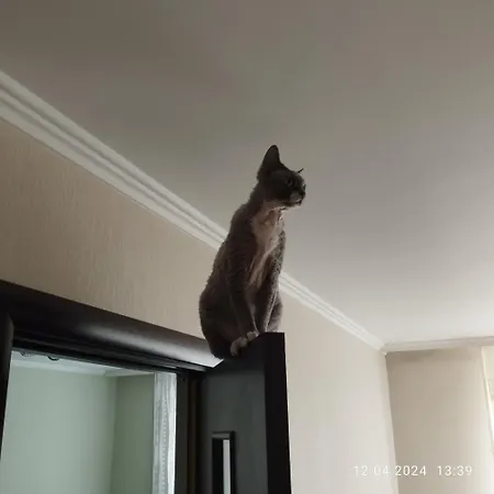 Apartment Bocian&kot Blotnica (Kolobrzeg)