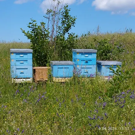 Apartment Bocian&kot *