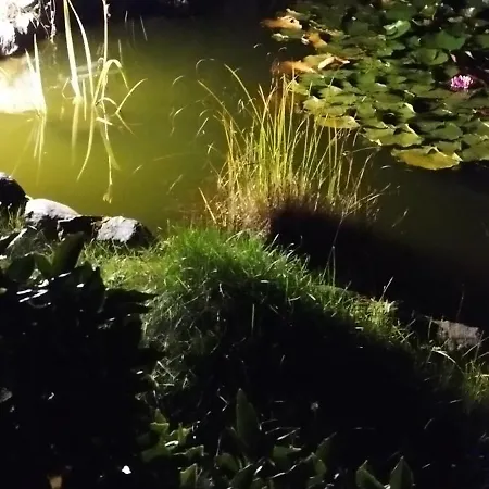 Bocian&kot * Blotnica (Kolobrzeg)