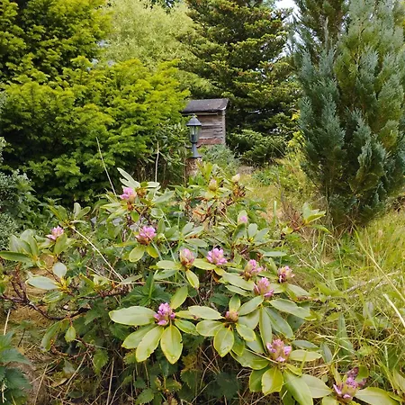 Apartment Bocian&kot Blotnica (Kolobrzeg)