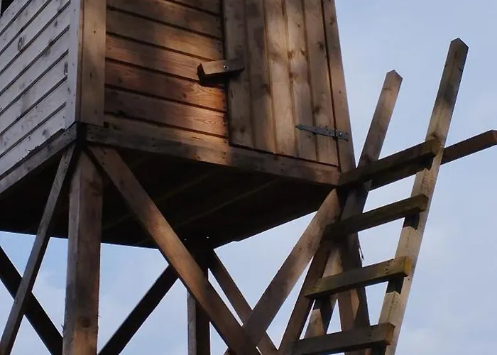 Bocian&kot Apartament Blotnica (Kolobrzeg)