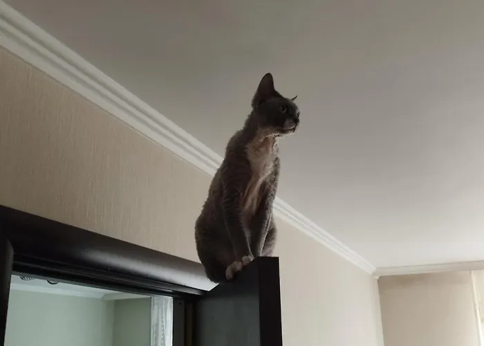 Apartament Bocian&kot Blotnica (Kolobrzeg)