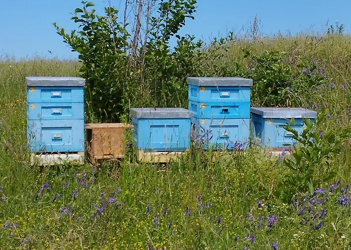 Apartament Bocian&kot *