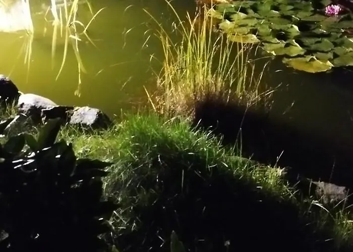 Bocian&kot * Blotnica (Kolobrzeg)