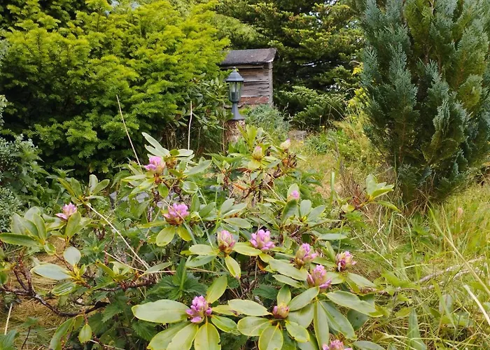 Apartament Bocian&kot Blotnica (Kolobrzeg)