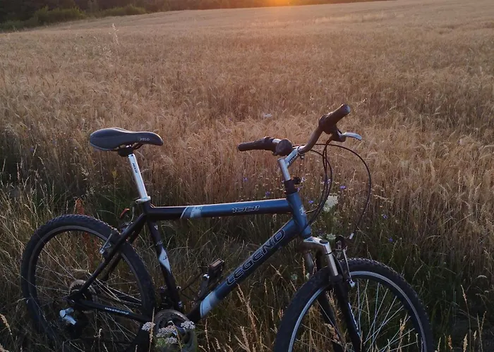 Apartament Bocian&kot *