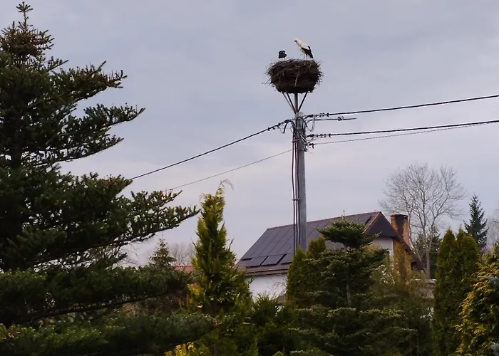 Bocian&kot Apartament